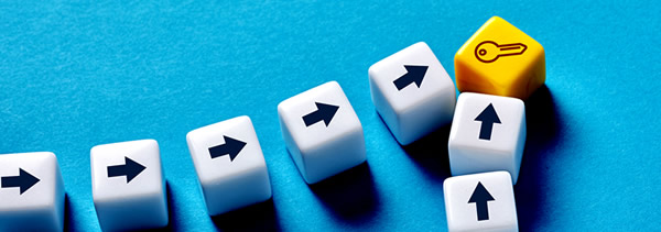 VAT: Key Issues